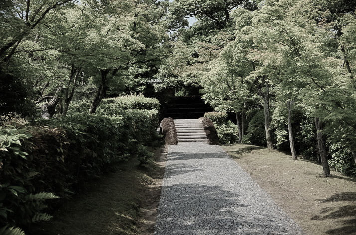 Miyukimichi at Katsura Rikyu.