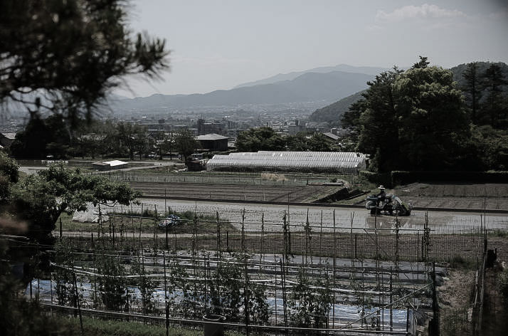 Farmland at Shugakuin Villa.