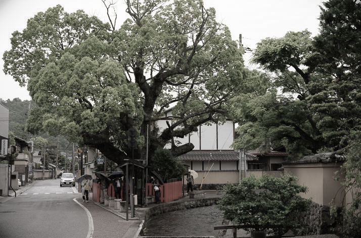 Shake-machi, Kyoto.