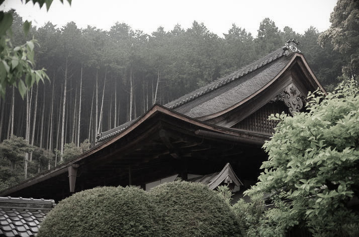 Shoden-ji Kyoto.