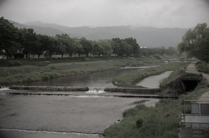 The Kamo River, Kyoto.