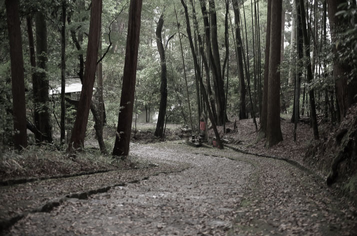 At Shoden-ji Temple.