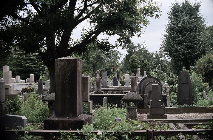 Zoshigaya Cemetary.