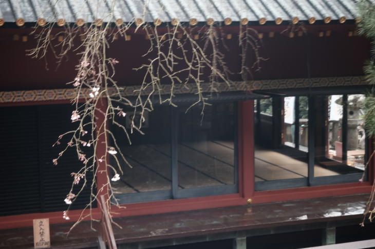 Kunozan Toshogu Shrine, one of the popular spots among travelers in Shizuoka Prefecture, Japan (久能山東照宮の舞殿）