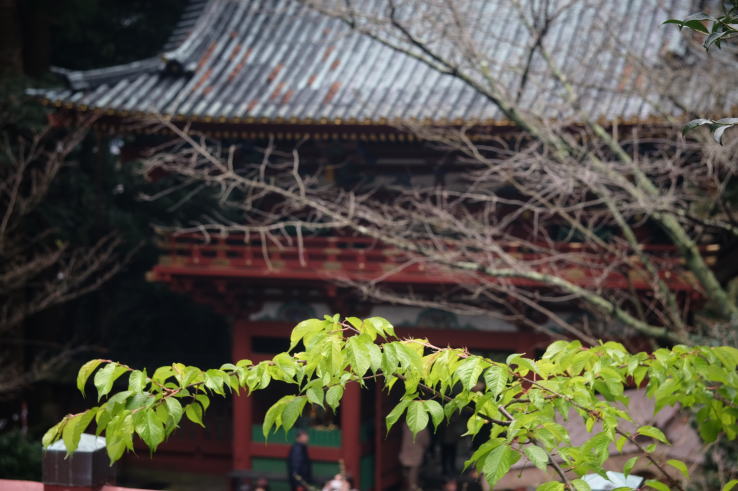 Romon Gate of Kunozan Toshogu Shrine (Summar 5cmF2)