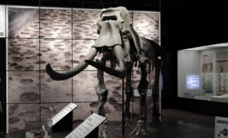 Paleolithic Period in Japan - Unfamiliar Japan Tours