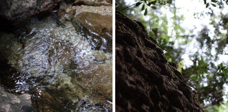 Nature at Chiiwa-kyo mountain gorge, Aichi Prefecture.