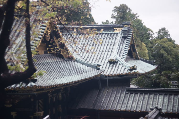 Kunozan Toshogu Shrine, one of Japan's National Treasure. 