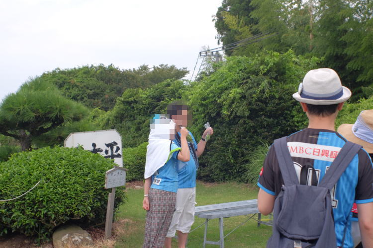 Picking green tea leaves in Japan.