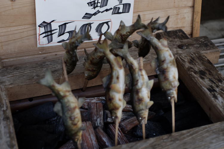 ayu sweet fish in Gujo Hachiman