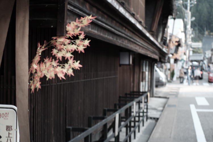 A street of Gujo Hachiman, a castle town in Gifu.