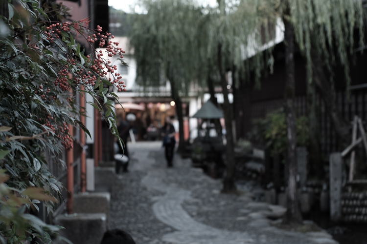 Yanaka Water Path