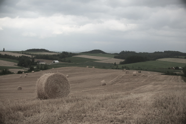 Fields of Biei in central Hokkaido