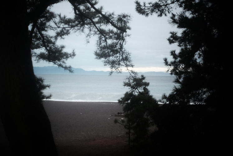 Miho no Matsubara, or Miho Pine Grove, in the bad weather.