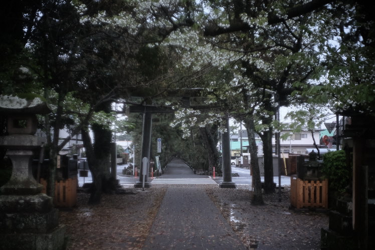 The entrance to Kami no Michi as seen from Miho Shrine