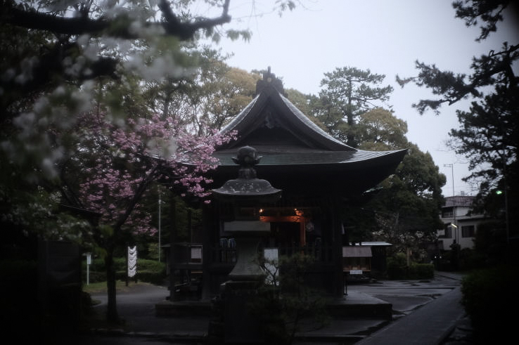 Miho Shrine  | 三保神社