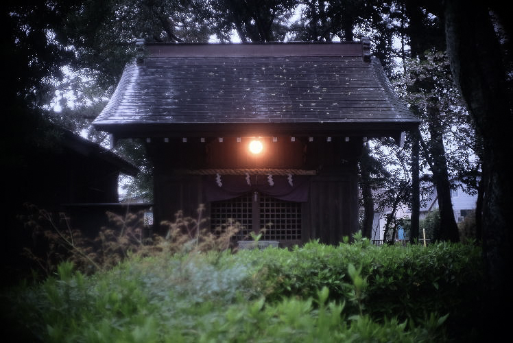 At Miho Shrine in Shizuoka, Japan