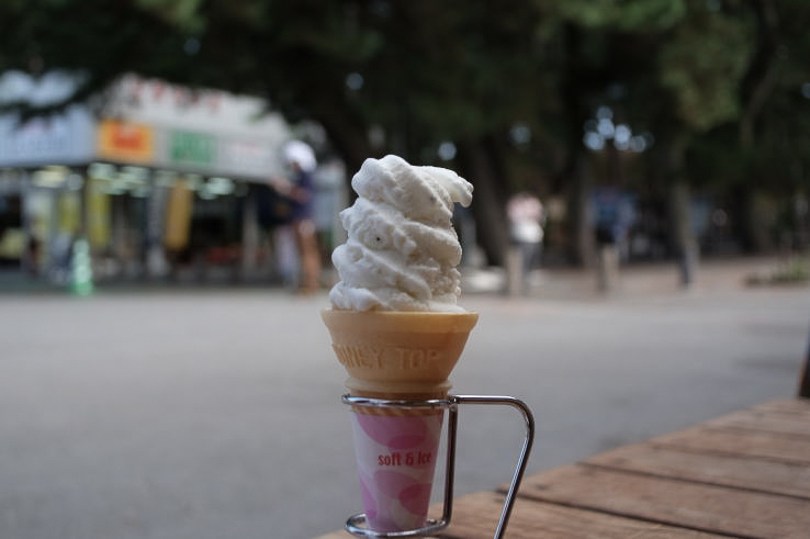 Shirasu Ice Cream | しらすアイスクリーム