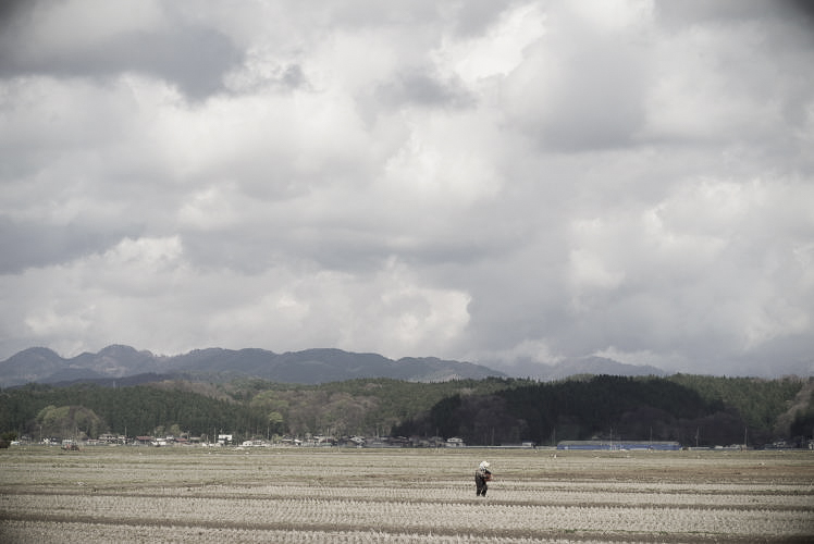 Rice paddies in Tohoku.