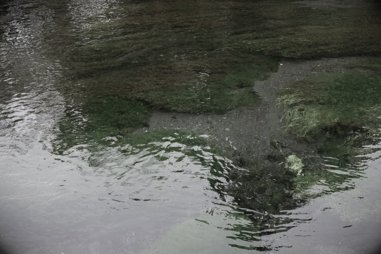 Clear water of Wakutama Pond, a photo taken with Fujifilm X-T100