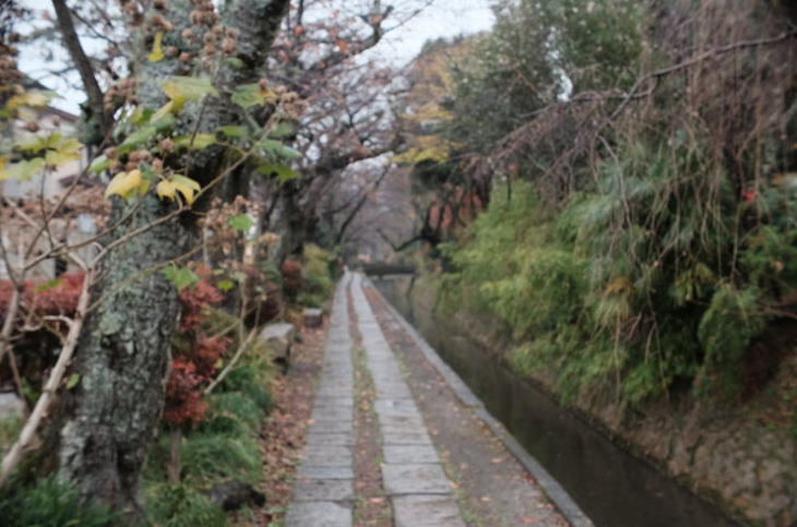 Philosopher's Walk in Kyoto.