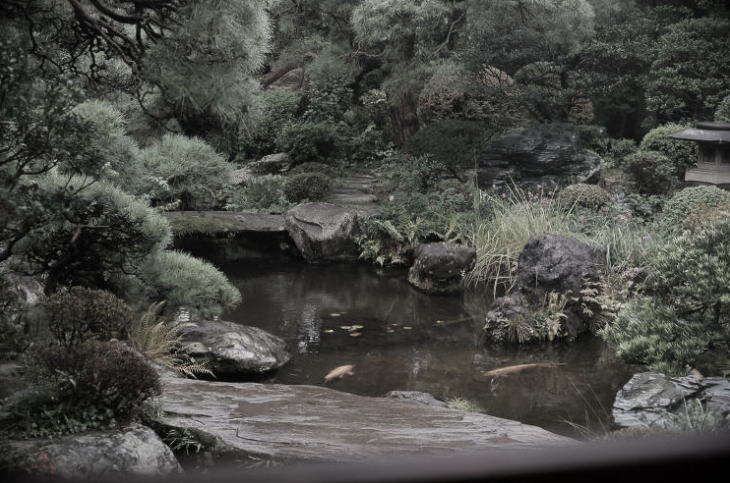 Pond at Yamamoto-tei.