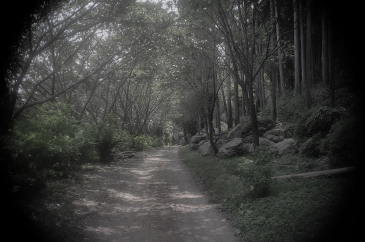 A small lane in rural Tokyo