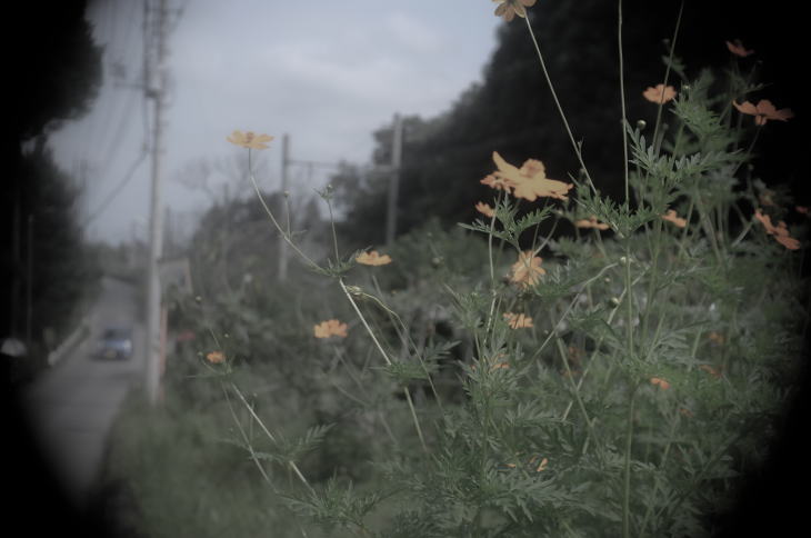 Landscape in Akiruno City, Tokyo.