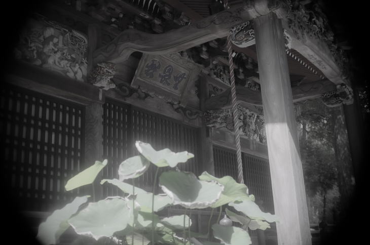 A Japanese Buddhist temple in the suburb of Tokyo.