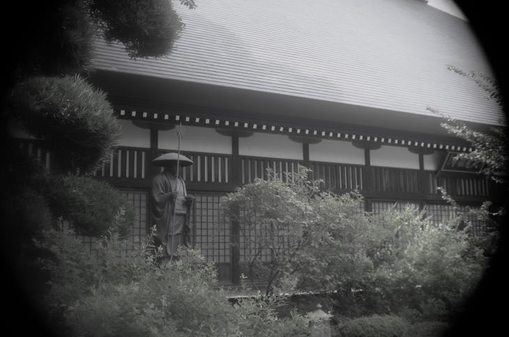 shirahagi white bush clover at a temple in Tokyo