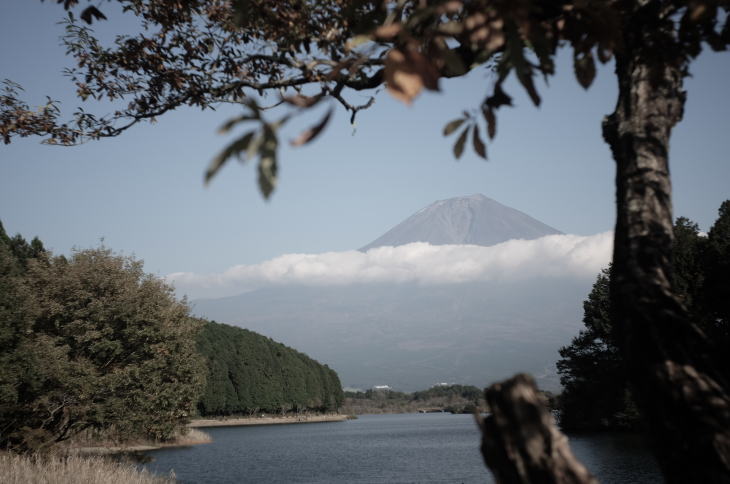 Mt. Fuji as seen from Lake Tanuki.