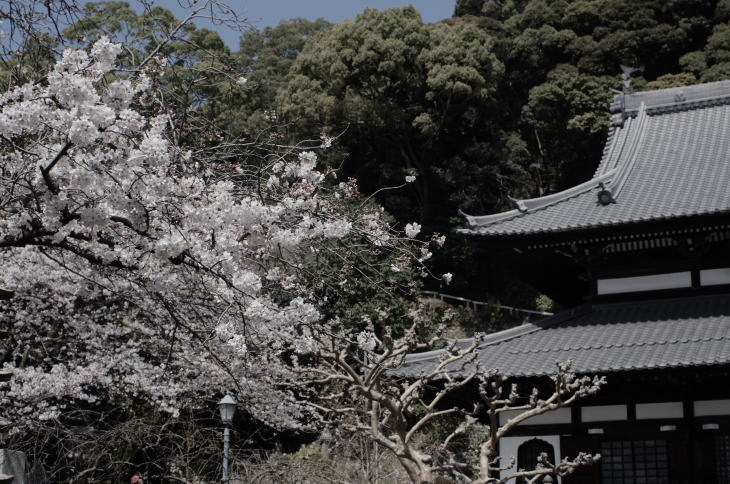 Seikenji Temple in Okitsu Town, Shizuoka.