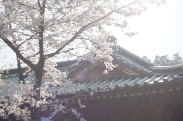 Shizuoka Sengen Shrine.