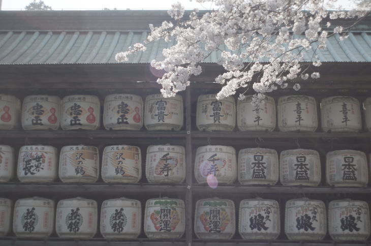 Shizuoka Sengen Shrine.