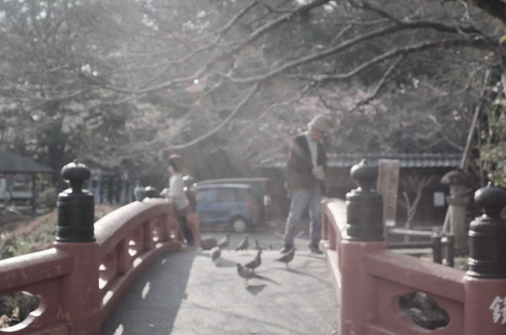 Shizuoka Sengen Shrine.