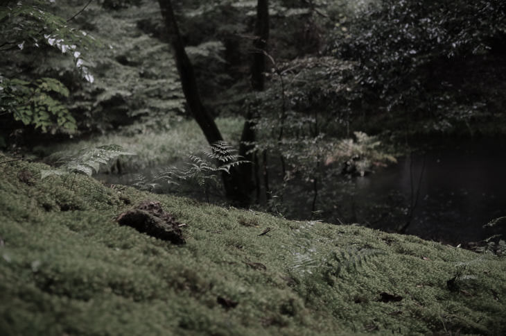 Mitarashi Pond at Heisenji.