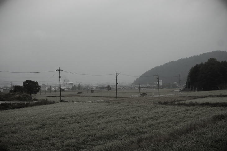 A view of the buckwheat fields and Katsuyama cityscape from the entrance to the old approach to Heisenji.