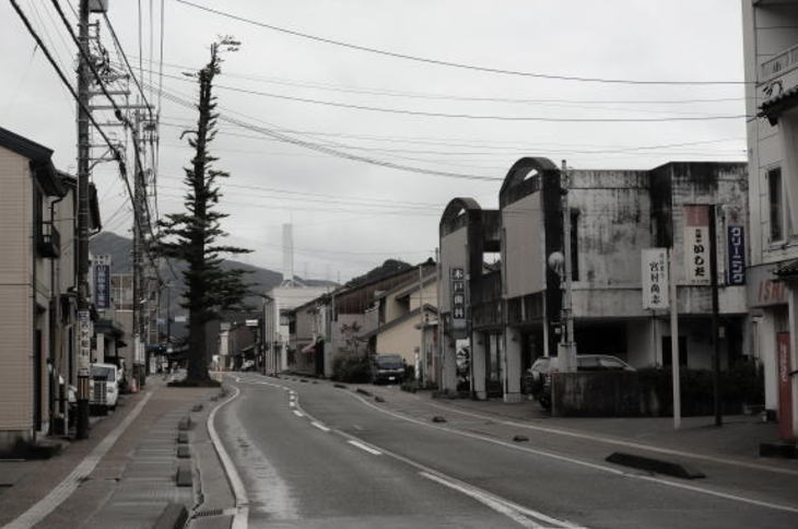 The large fir tree in Tsurugi, Ishikawa.