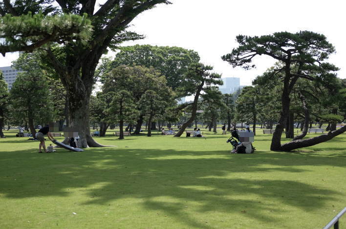 Imperial Palace Outer Garden.（皇居外苑）