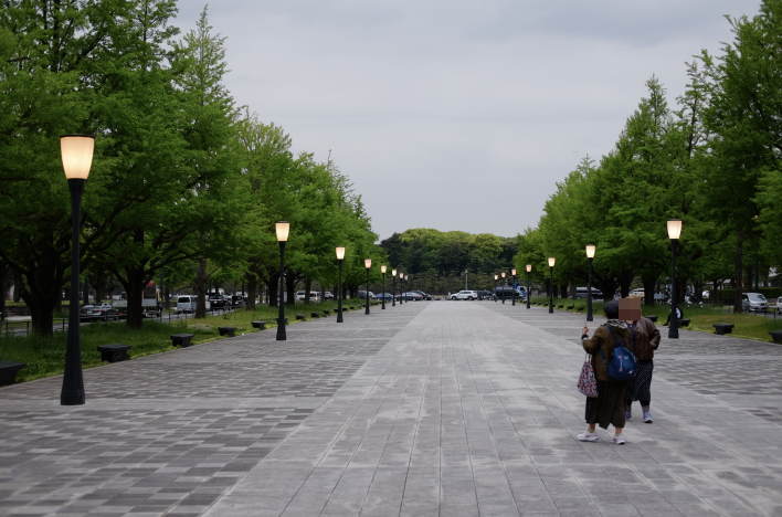 Gyoko-dori Avenue.（行幸通り）