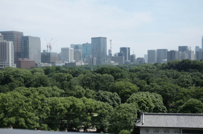 The woods of the Imperial Palace East Gardens and buildings of Otemachi.