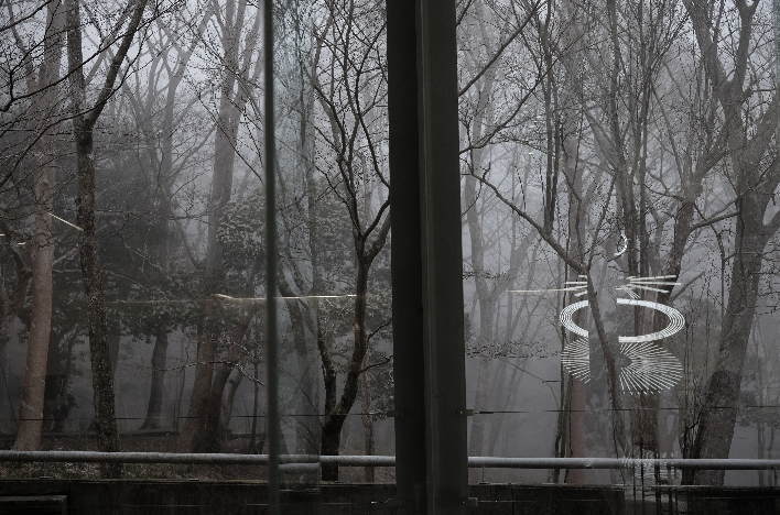 View of Sengokuhara Forest from the cafe "Tune" at the Pola Museum of Art.