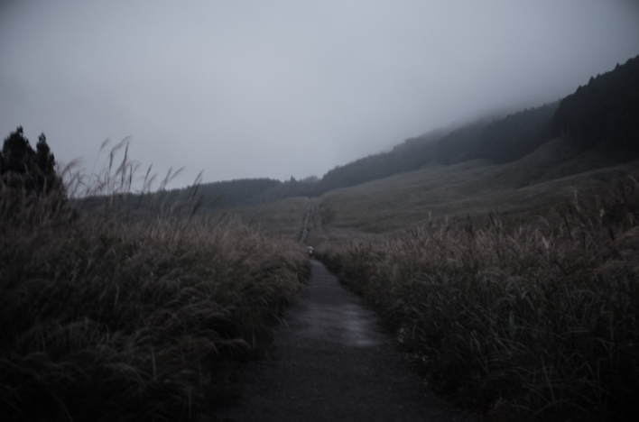 Walking along a path surrounded by Japanese pampas grass