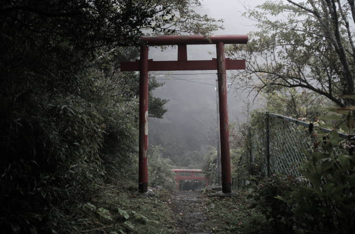 Small torii gates near Gongen-zaka, Hakone.
