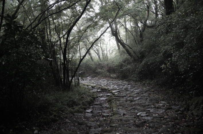 As you descend Gongenzaka slope, the view opens up and it becomes brighter.