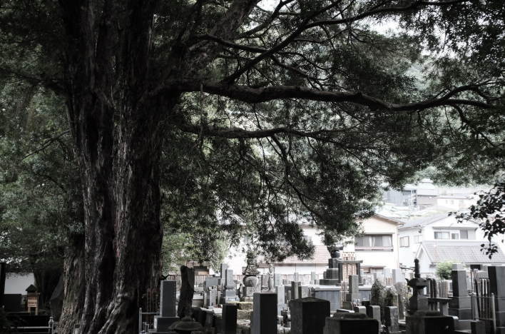 A cemetery located within the grounds of Sounji Temple.