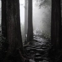 Old Tokaido road in Hakone.