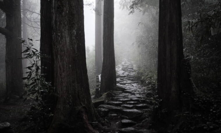 Old Tokaido road in Hakone.