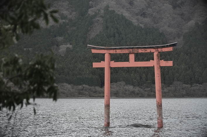 The torii gate of Kuzuryu Shrine appears to be floating on Lake Ashi.