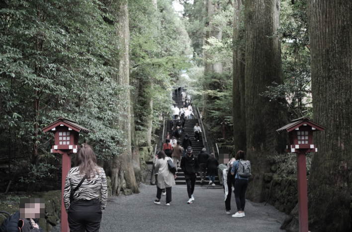 The main approach to Hakone Shrine
